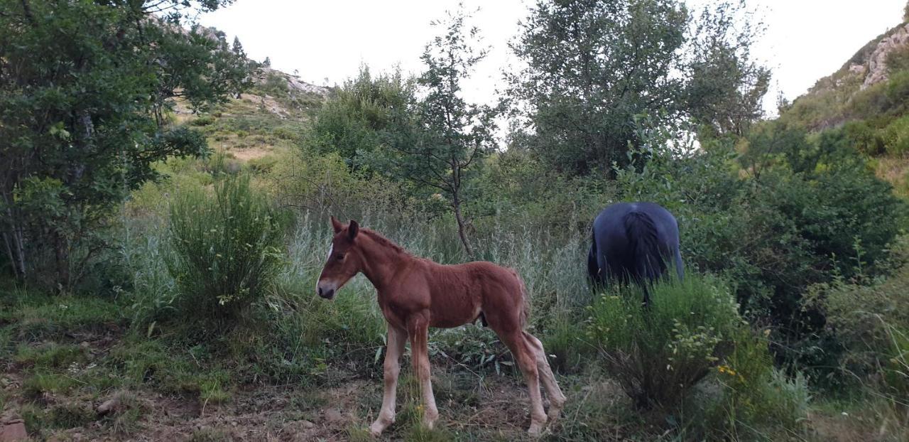 Mallo de Luna Casa Rural Carmen Luna מראה חיצוני תמונה